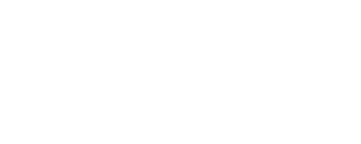 porifera